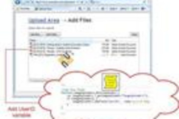 Aurigma Image Uploader Flash预览：